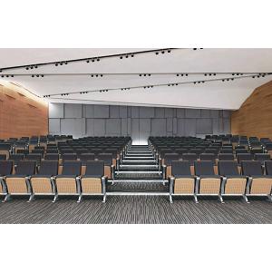 AUDITORIUM SEATING 2